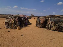 WhatsApp Image 2025-07-18 at 17.34.43.jpeg