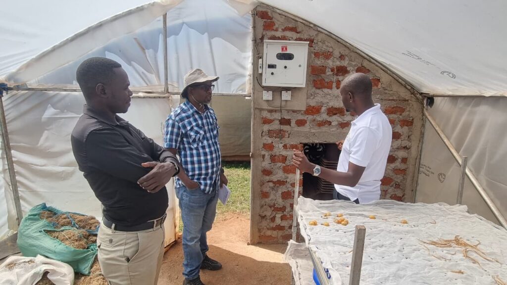 Vermicompost Creation at Mzuri Organics